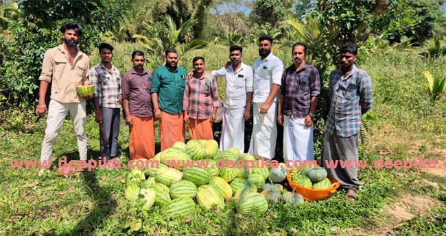 ത​ണ്ണി​മ​ത്ത​ൻ കൃ​ഷി​യി​ൽ നൂ​റു​മേ​നി വി​ള​യി​ച്ച് യു​വ ക​ർ​ഷ​ക​ർ